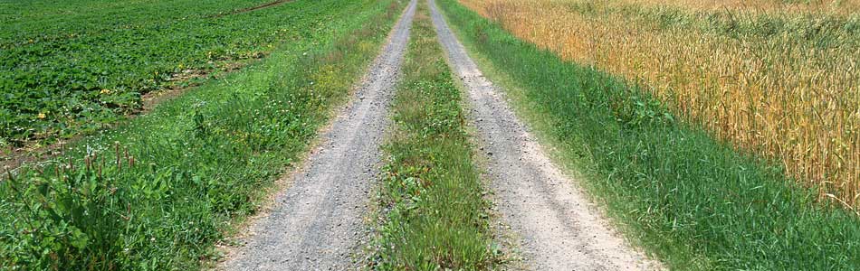 Ferienwohnung Mastalerz - Anfahrt - Igensdorf|Dachstadt